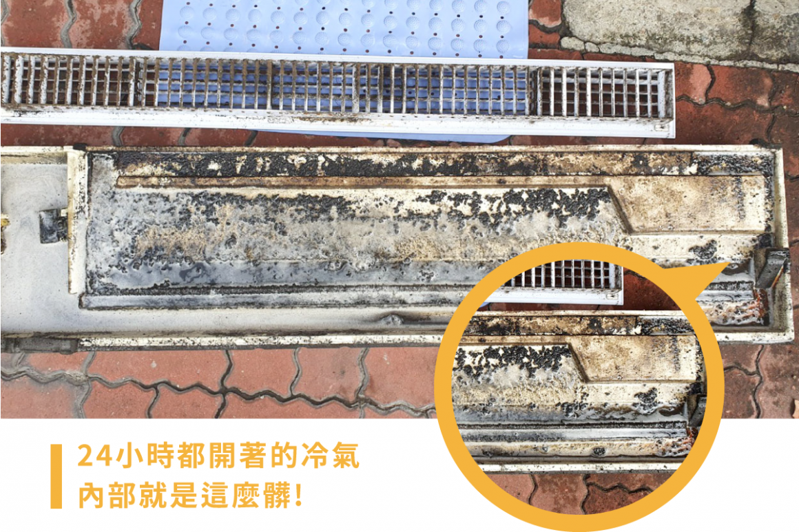 0929宏力動物醫院02 0929宏力動物醫院02